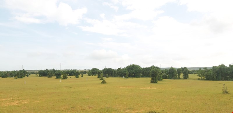 Sở hữu nhanh đất vườn Bình Thuận cách khu dân cư 800m, giá 1,204 tỷ