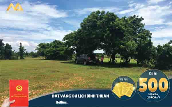 Bán đất vườn Bình Thuận giá rẻ từ 50 nghìn/m2, sổ đỏ riêng, công chứng ngay, gần khu du lịch Safari