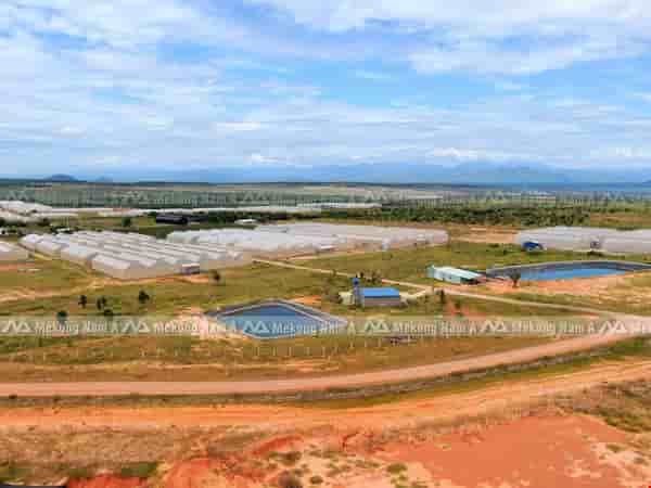 Bán rẻ đất vườn ven biến Bình Thuận, liên huyện cách 380m giá 1 tỷ 3
