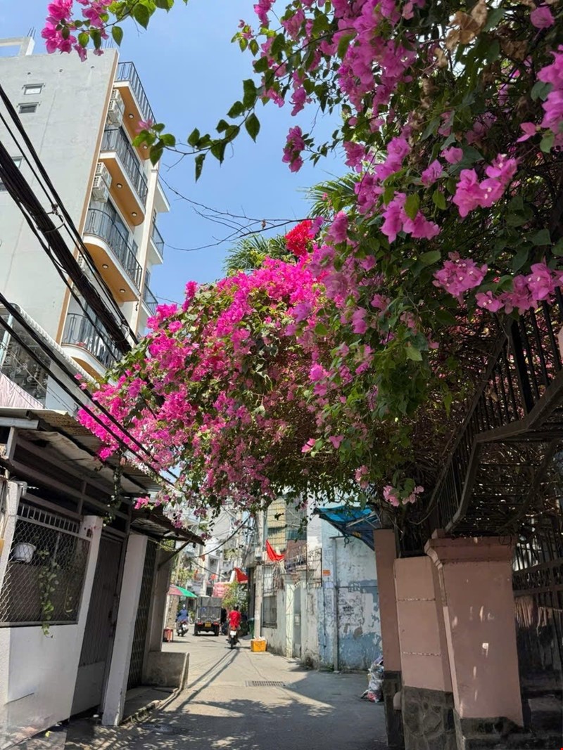 Bán nhà Gò Vấp, hẻm xe hơi Dương Quảng Hàm thông Phan Văn Trị Nguyễn Xí, 64M2, 8.5tỷ TL