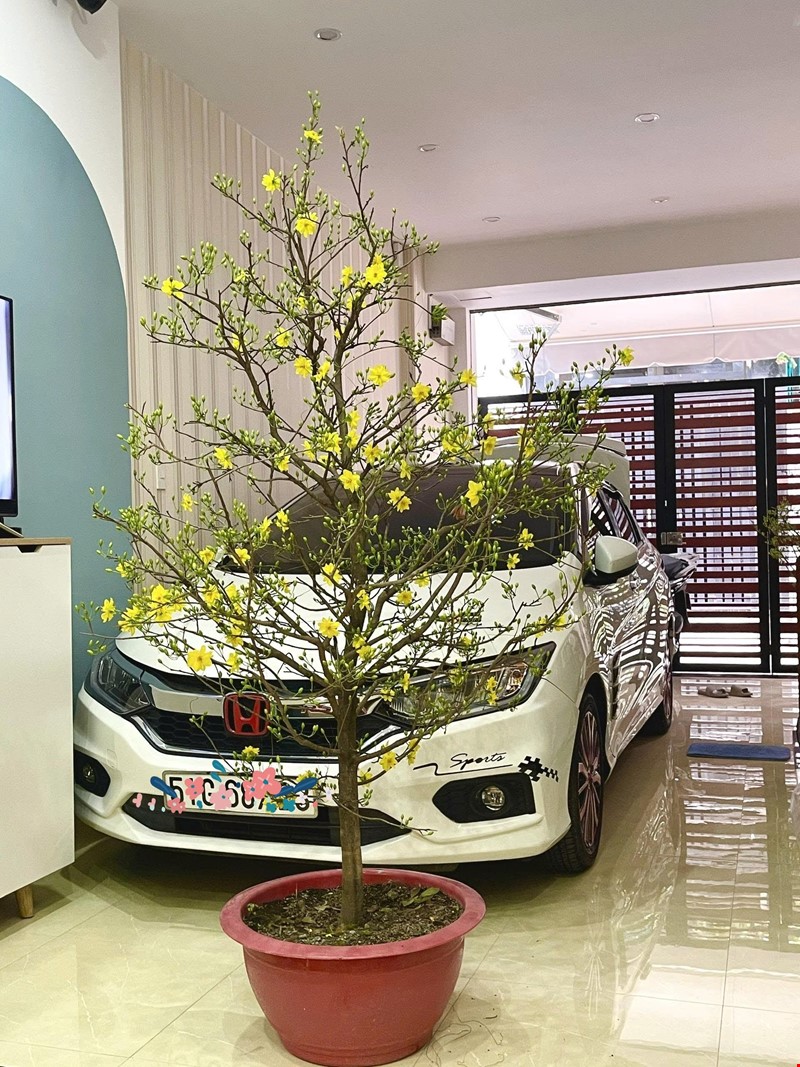 Bán nhà Gò Vấp, hẻm xe hơi Nguyễn Văn Lượng, 4x14m, full nội thất cao cấp, chỉ 7.2 tỷ
