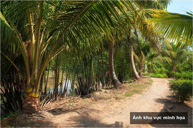 ban-dat-vuon-rong-mat-tien-ql61c-phong-dien-can-tho-pr7960