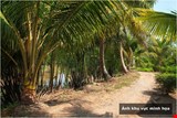 ban-dat-vuon-rong-mat-tien-ql61c-phong-dien-can-tho-pr7960