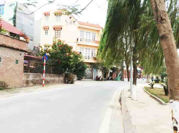 tay-ho-xuan-la-ve-ho-mat-ho-tay-165m-mt9m-24-ty-pr3607