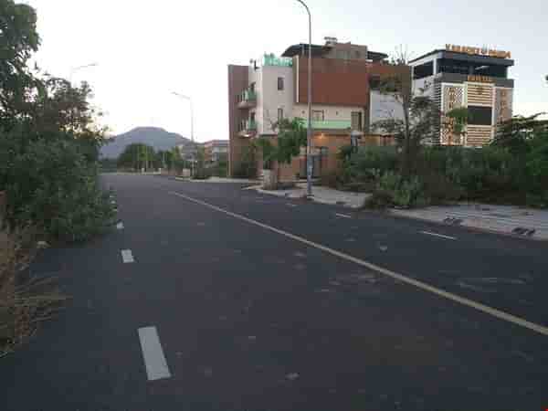 ban-lo-dat-mt-thanh-son-c-gia-re-nhat-khu-vuc-pr4497