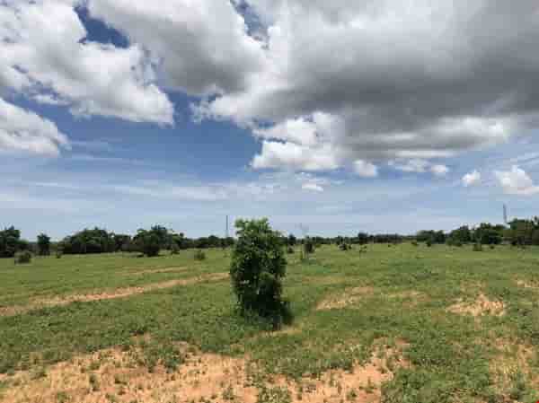 ban-re-dat-vuon-binh-thuan--khu-dan-cu-khoang-17km-gia-500tr-pr3761