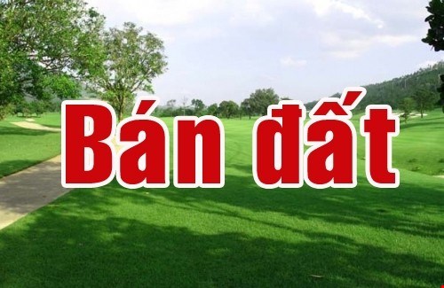 ban-120m-dat-mat-pho-ngoc-ha-ba-dinh-mat-tien-rong-kinh-doanh-tot-gia-345-ty-pr4185