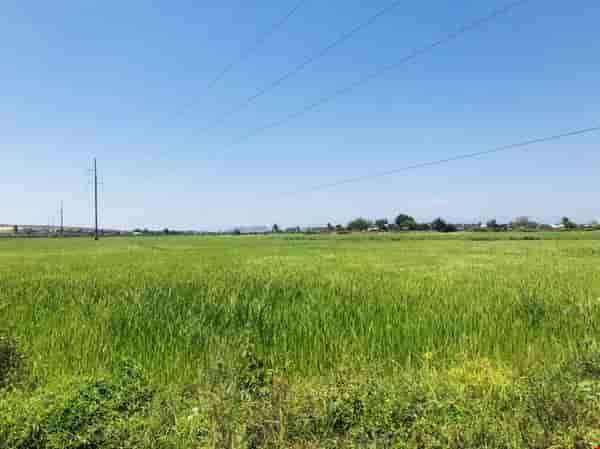 ban-re-dat-vuon-binh-thuan-dat-safari-khoang-45km--gia-1-ty-8-pr3765