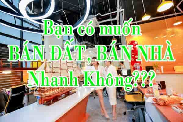 van-phong-nha-dat-q-ba-dinh-co-muc-phi-hh-05-re-nhat-thi-truong-pr4587