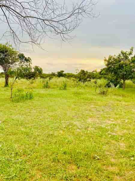 lo-dat-o-xa-song-luy-huyen-bac-binh-tinh-binh-thuan-pr3788