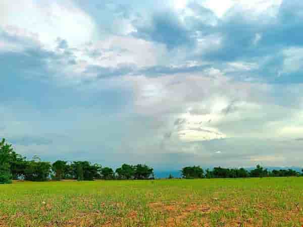 so-huu-nhanh-dat-vuon-ven-bien-binh-thuan-mat-tien-duong-cach-ven-bien-1km-gia-951tr-pr3631
