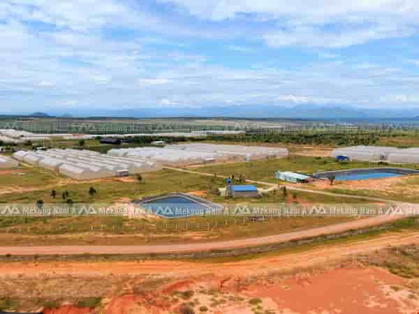 dat-vuon-ven-bien-binh-thuan-cach-khu-dan-cu-1km-1243-ty-pr3615