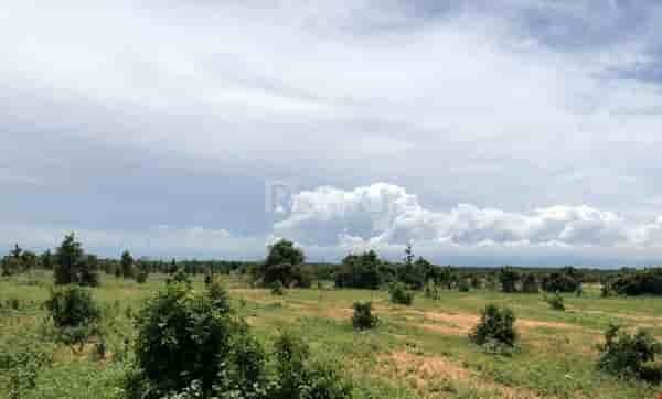 ban-dat-vuon-ven-bien-binh-thuan-khu-dan-cu-tam-1km-1243-ty-pr3667