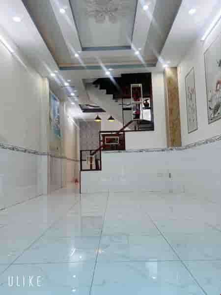 nha-dep-2-lau-btct-35-x-12m-che-lan-vien-dan-tri-tan-phu-42m²-gia-555-ty-0335566646-pr5312