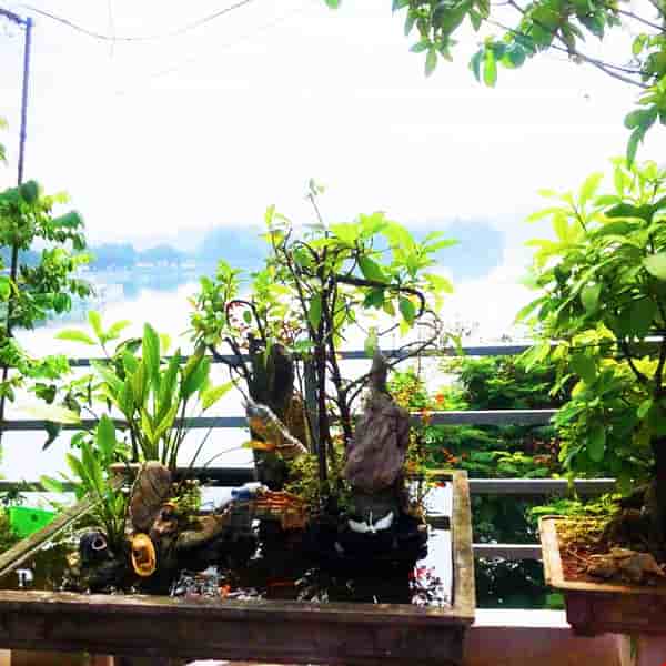 nha-4-tang-mat-ho-tay-via-he-lo-goc-3-thoang-mat-tien-5m-83-ty-pr3931