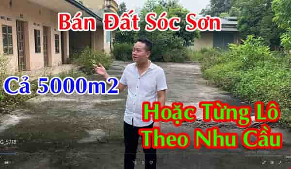 chinh-chu-ban-dat-soc-son-ca-5000m2-hoac-mua-tung-lo-theo-nhu-cau-pr4013